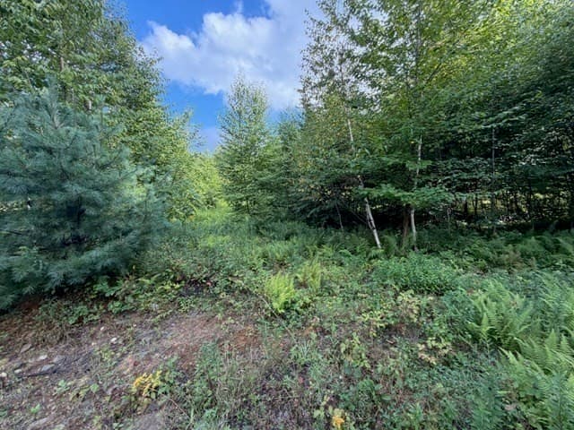 Residential at Lot 121 Davis Mine Rd, Rowe MA 01367, photo 14 of 23