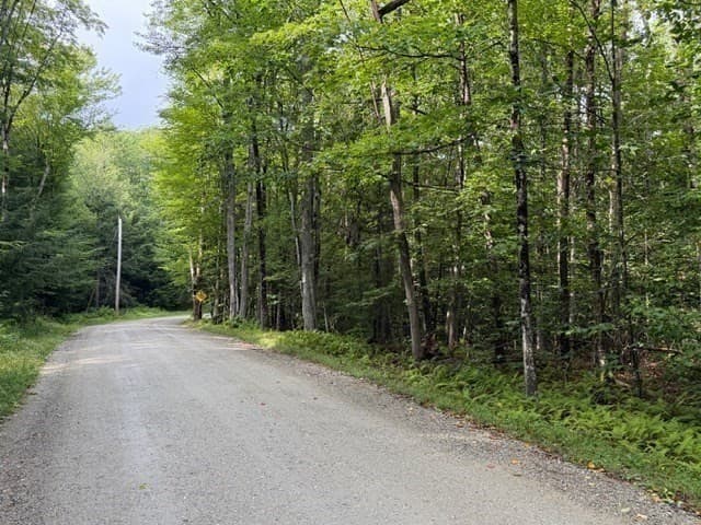 Residential at Lot 121 Davis Mine Rd, Rowe MA 01367, photo 18 of 23
