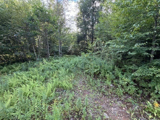 Residential at Lot 121 Davis Mine Rd, Rowe MA 01367, photo 15 of 23