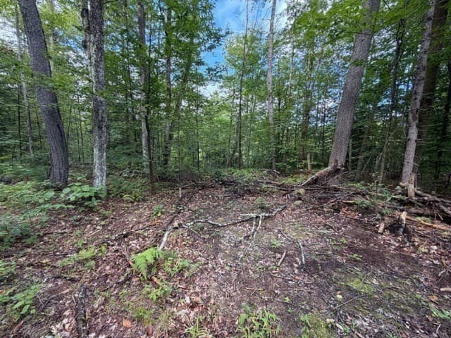 Residential at Lot 121 Davis Mine Rd, Rowe MA 01367, photo 11 of 23