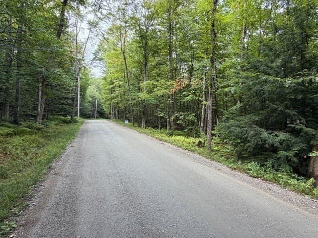 Residential at Lot 121 Davis Mine Rd, Rowe MA 01367, photo 19 of 23