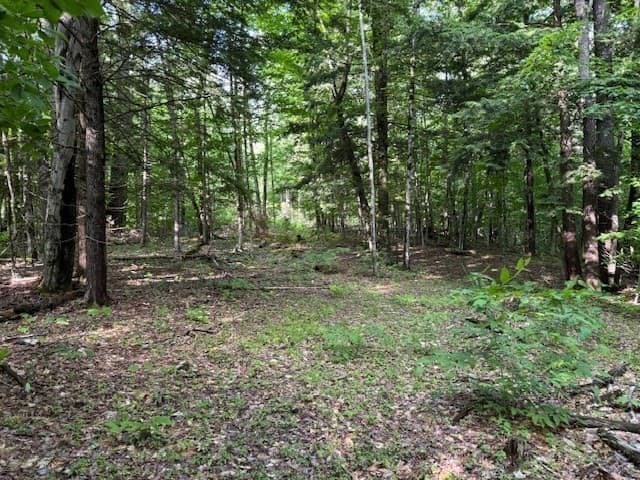 Residential at Lot 121 Davis Mine Rd, Rowe MA 01367, photo 8 of 23
