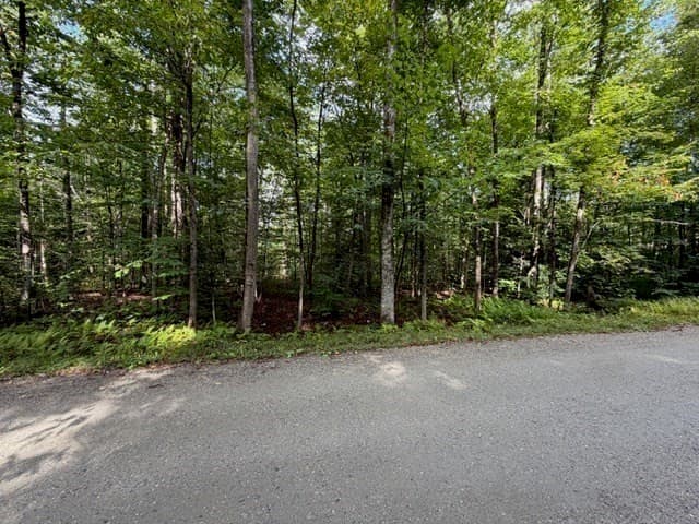 Residential at Lot 121 Davis Mine Rd, Rowe MA 01367, photo 21 of 23