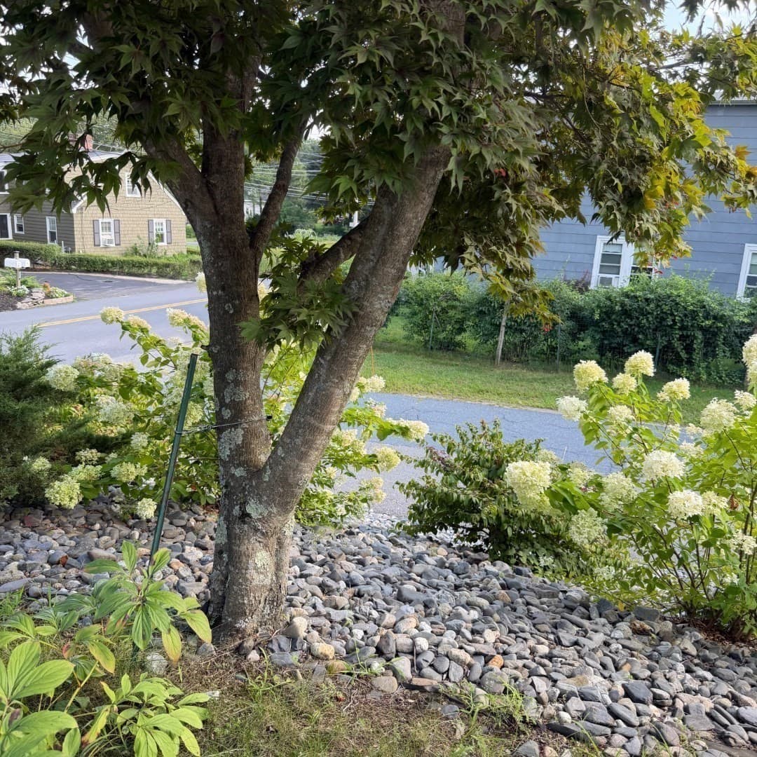Single Family Residence at 40 Marshall Rd, Fitchburg MA 01420, Fitchburg, photo 9 of 32