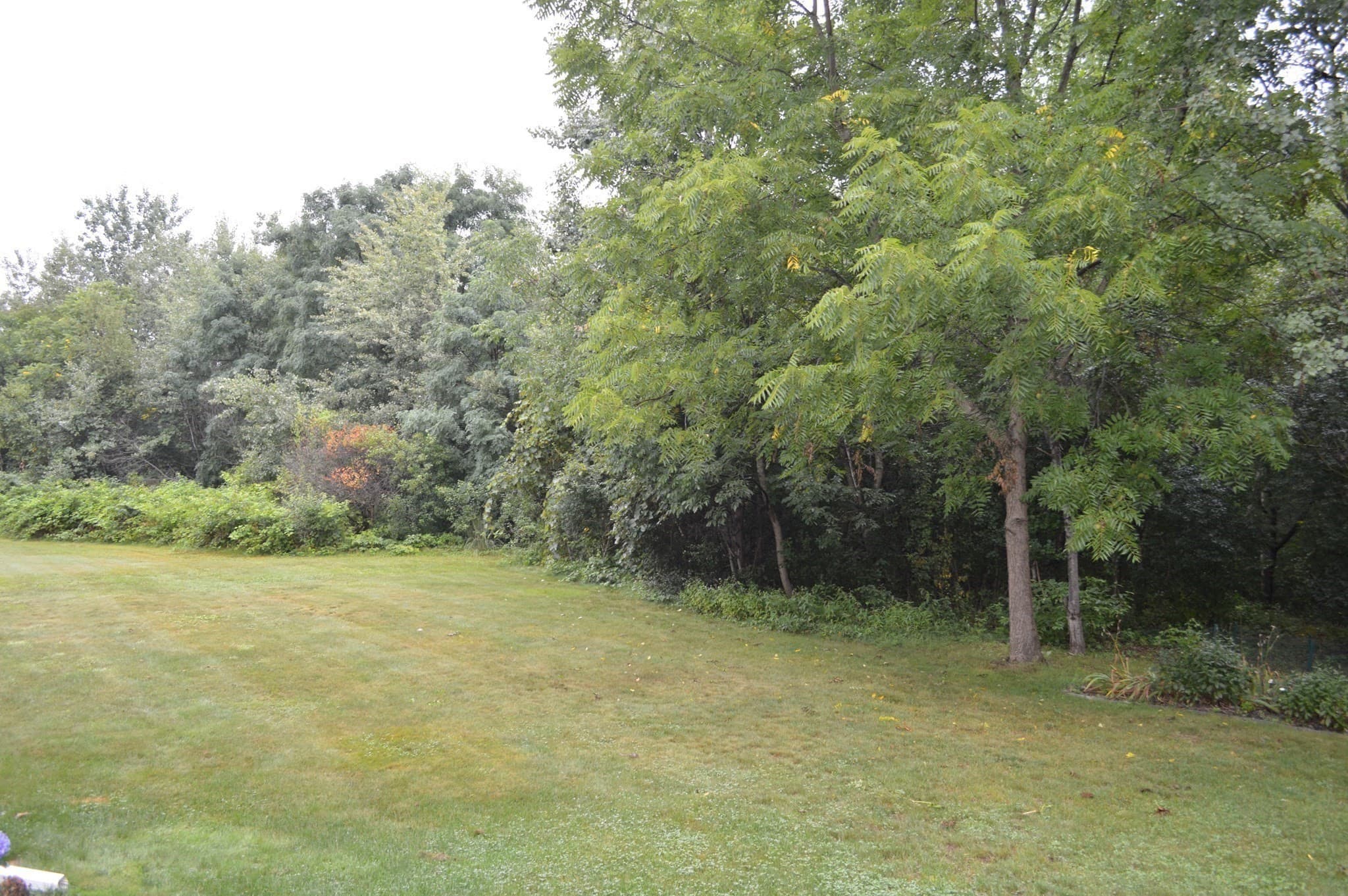 Condominium at 25 Oakes Cir # 25, Millbury MA 01527, Millbury, photo 22 of 22