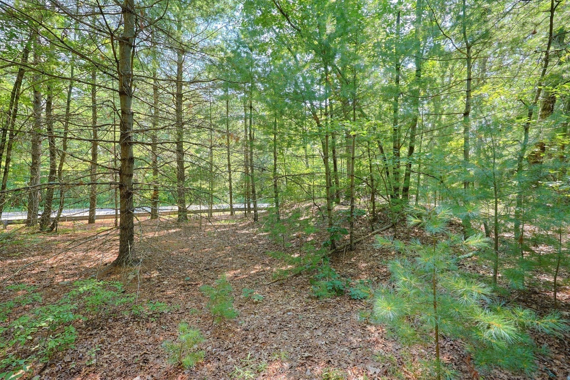 Residential at 0 East Foxboro Street, Sharon MA 02067, photo 13 of 17