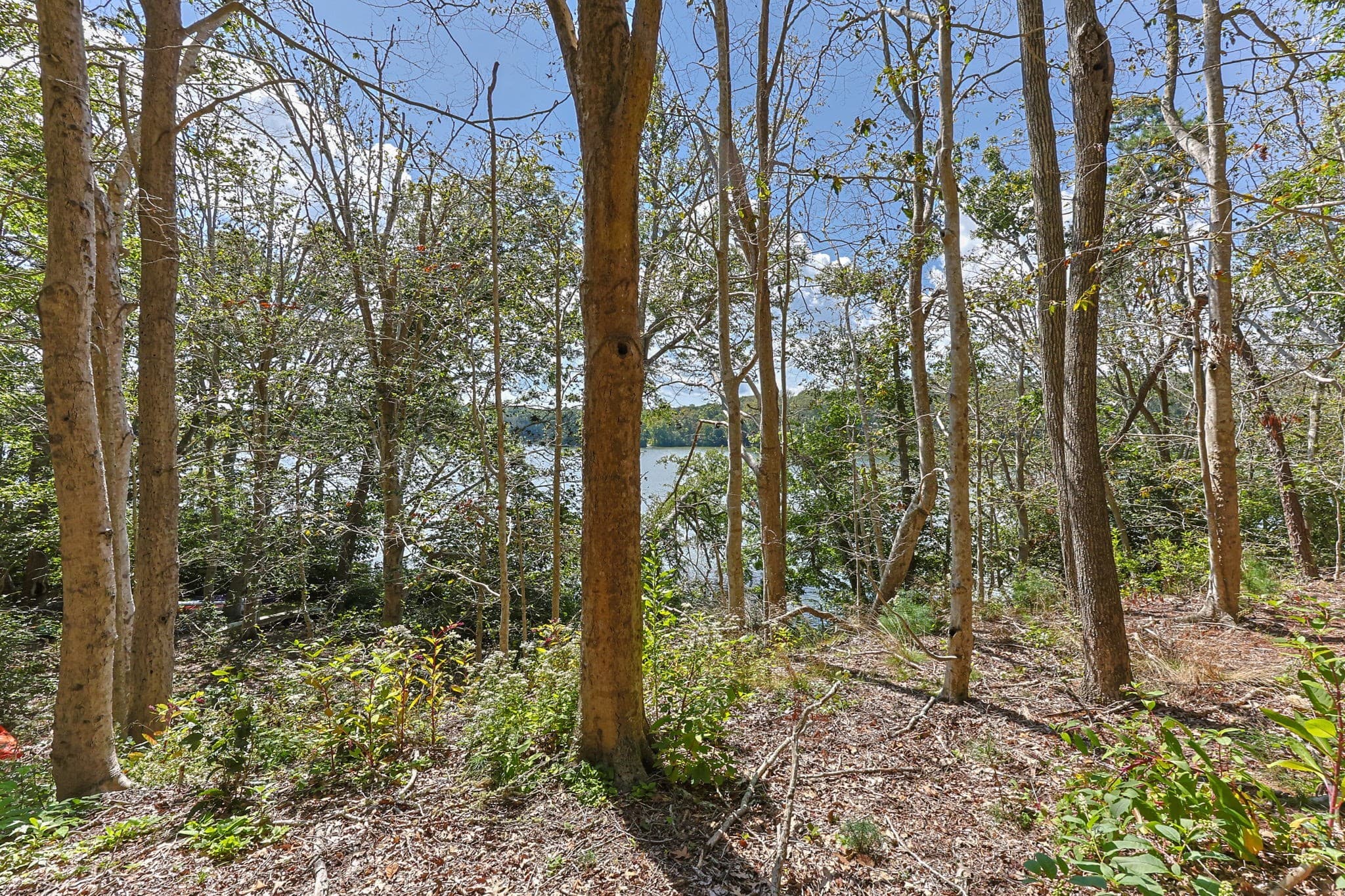 Condominium at 35 Santuit Pond Way # 13A, Mashpee MA 02649, Mashpee, photo 35 of 42