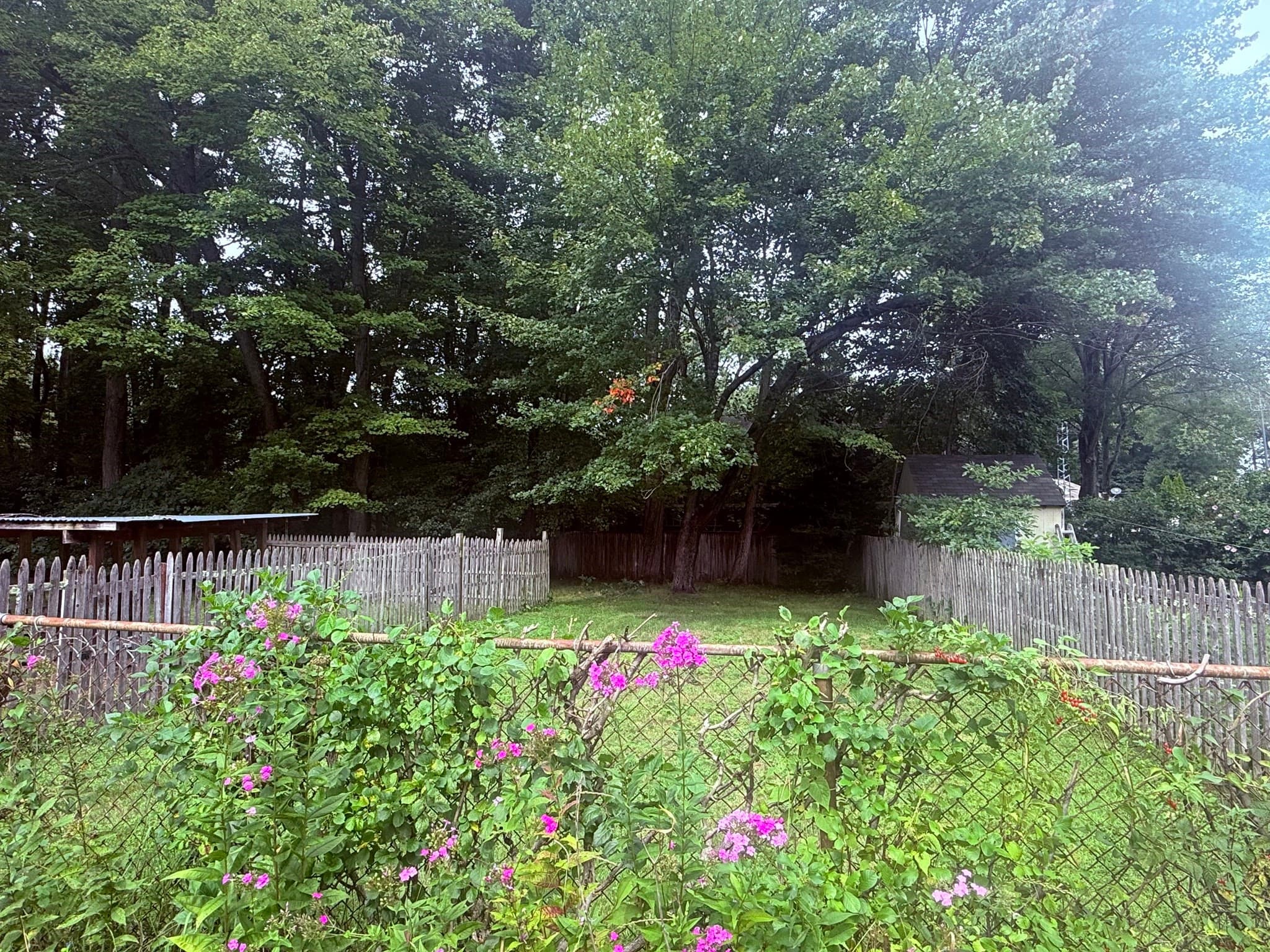 Single Family Residence at 88 Carr Avenue, Agawam MA 01001, photo 37 of 40