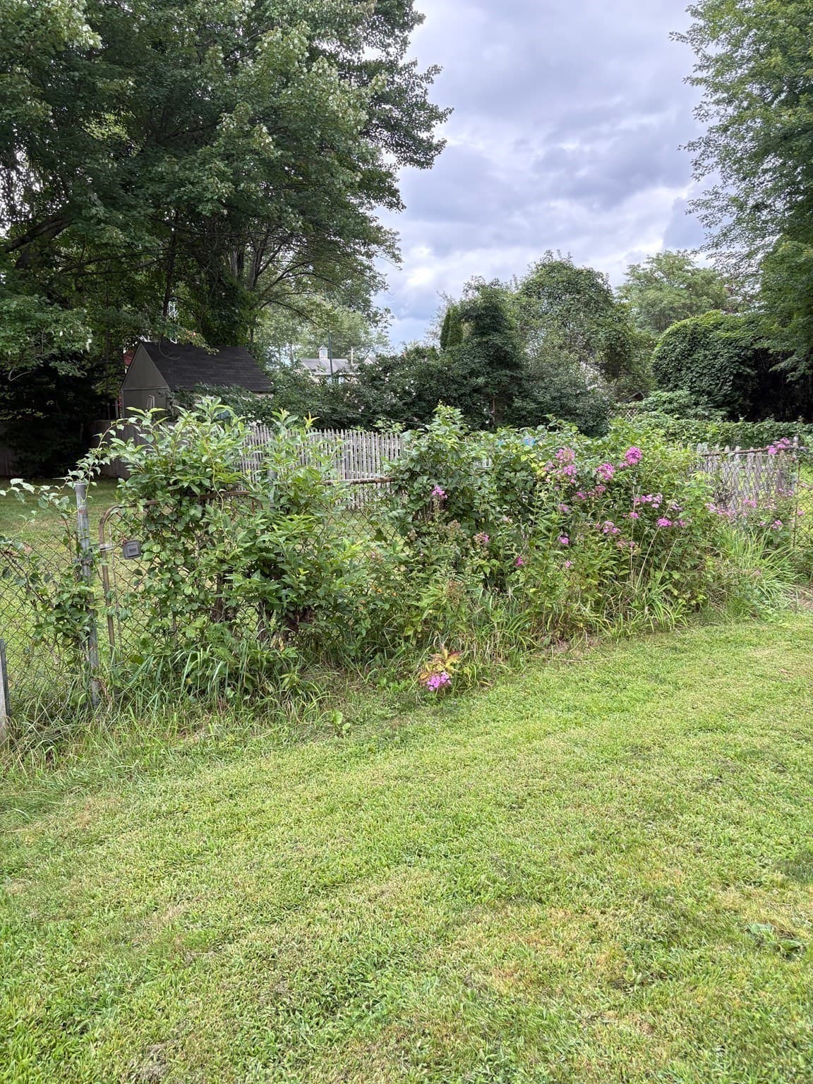 Single Family Residence at 88 Carr Avenue, Agawam MA 01001, photo 31 of 40