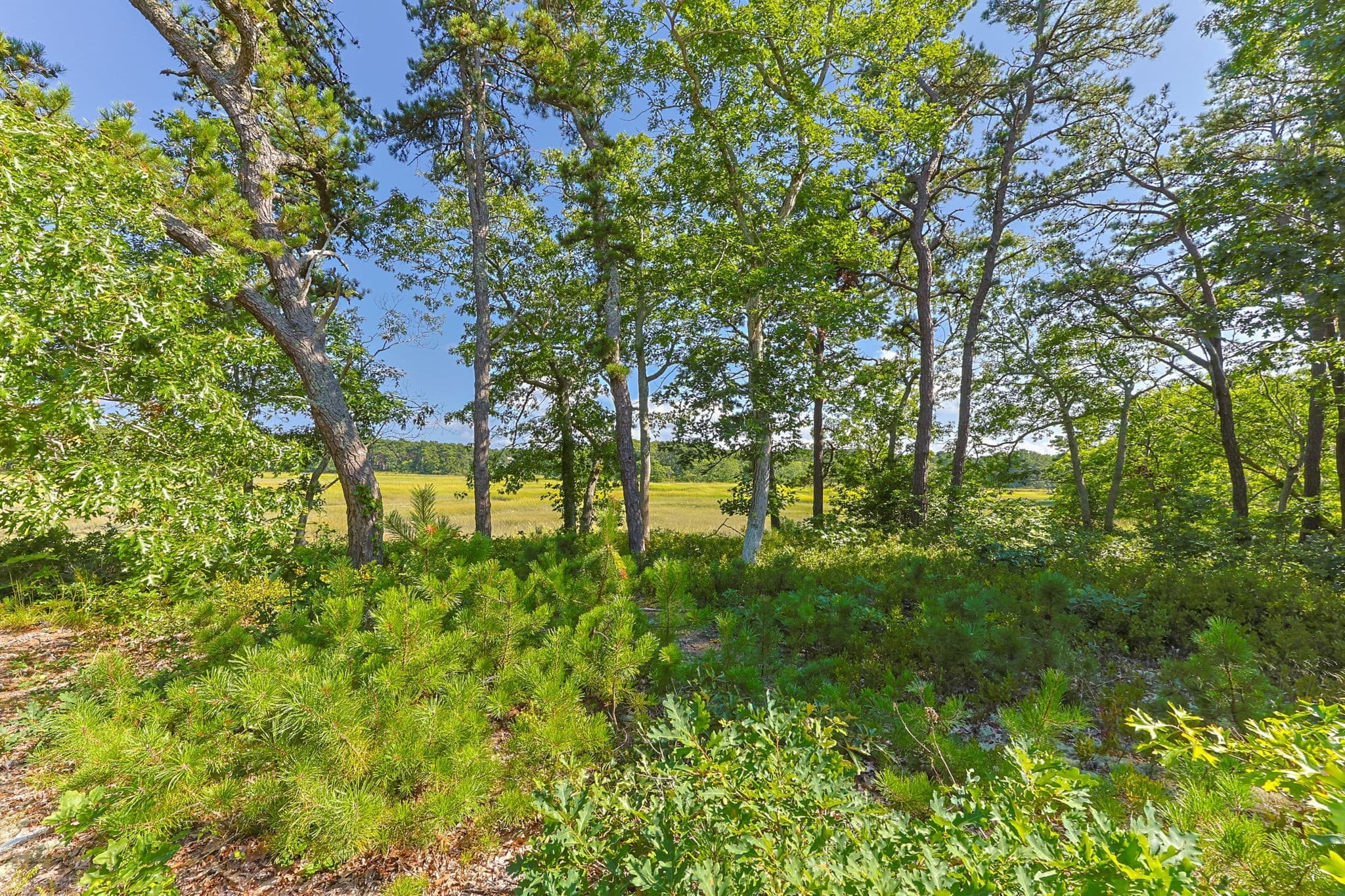 Single Family Residence at 56 Warren Road, Wellfleet MA 02667, photo 27 of 42
