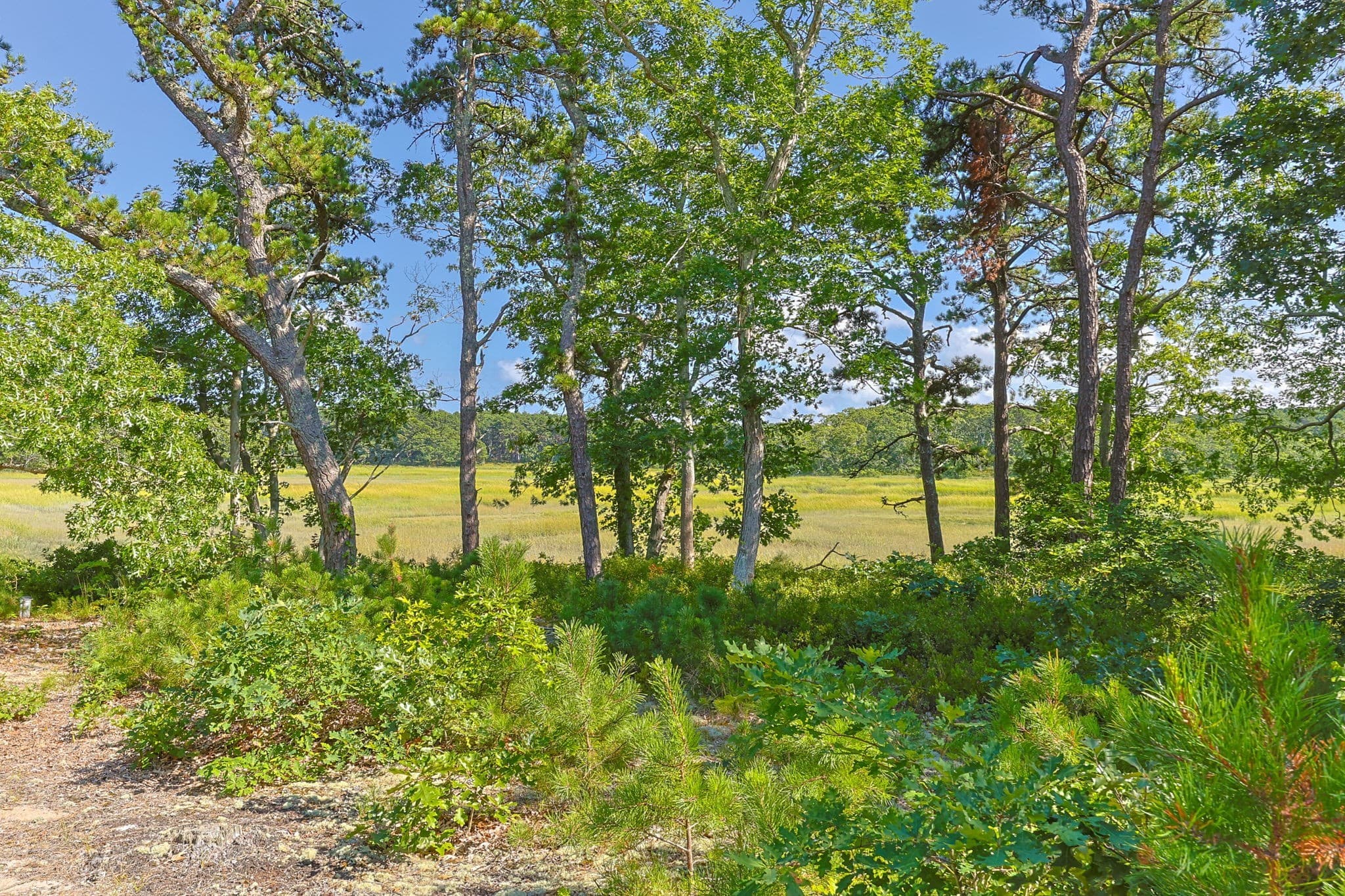 Single Family Residence at 56 Warren Road, Wellfleet MA 02667, photo 26 of 42