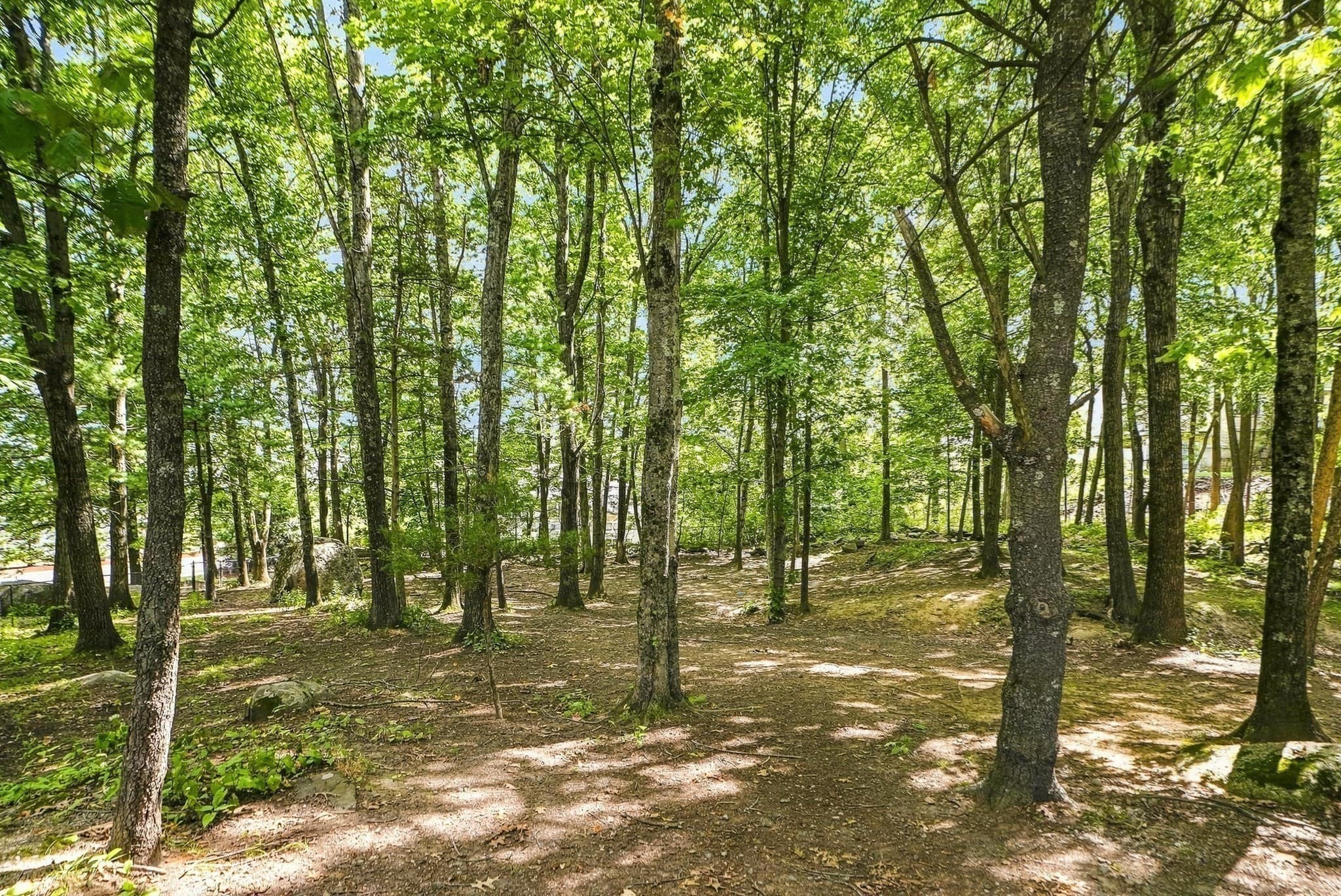 Condominium at 2201 Briarwood Village # 2201, Clinton MA 01510, Clinton, photo 38 of 42