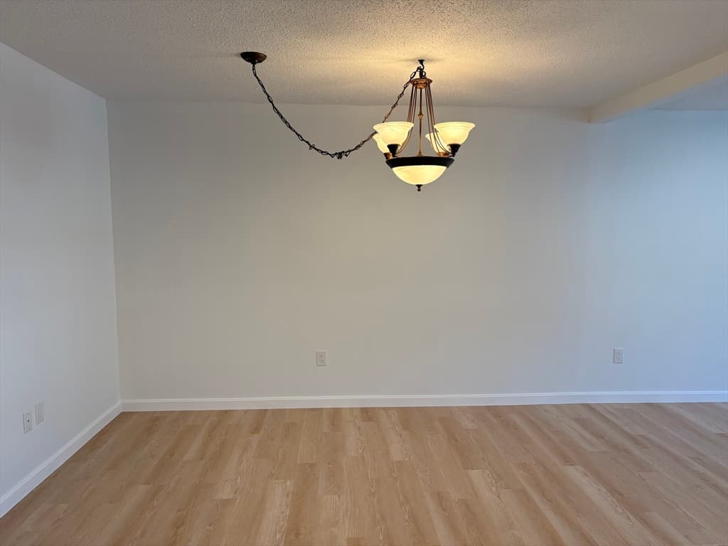 Condominium at 1524 Gorham St # 104, Lowell MA 01852, Lowell, photo 4 of 12