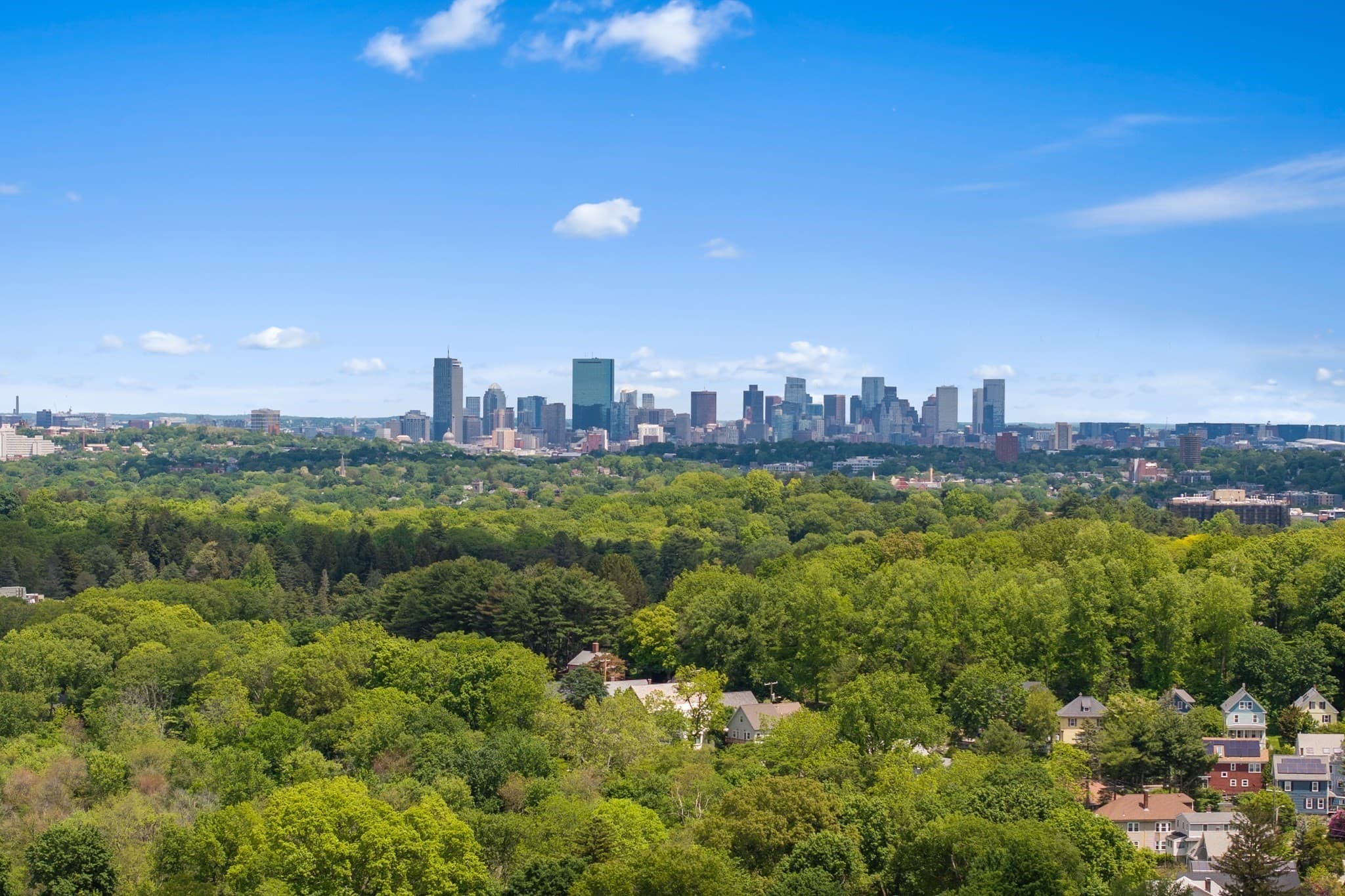 Condominium at 10-12 Taft Hill Park # 1, Boston MA 02131, Boston, photo 28 of 29