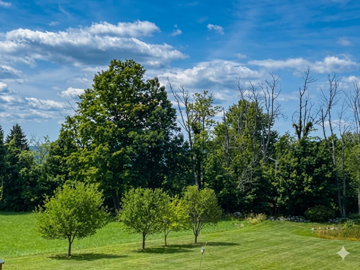Single Family Residence at 60 Osgood Rd., Sterling MA 01564, Sterling, photo 13 of 42