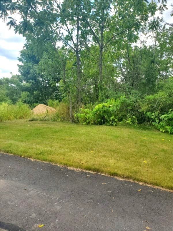 Residential at 7 Mount View Way, Franklin MA 02038, Franklin, photo 3 of 5