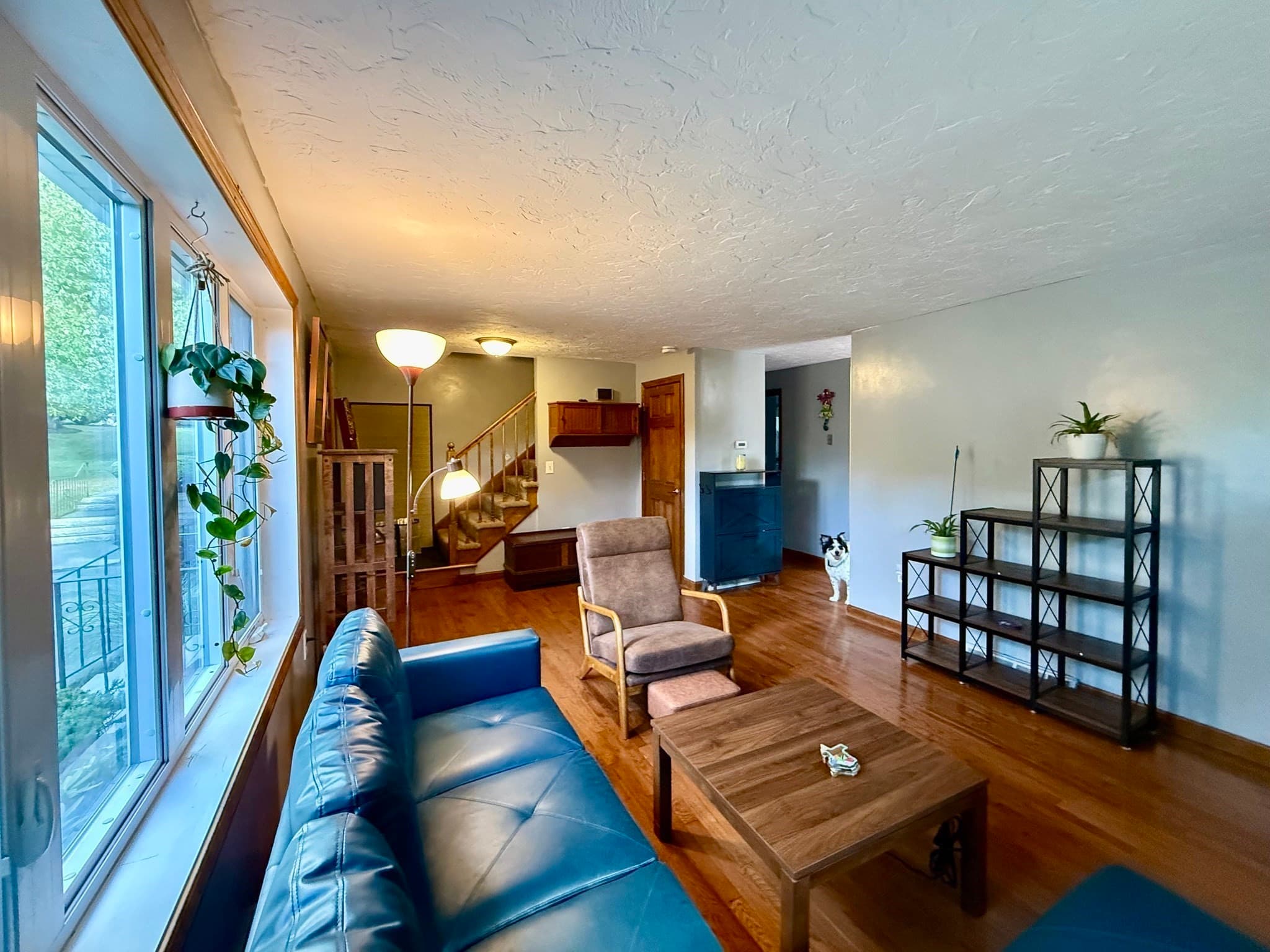 Condominium at 101 Cardinal Lane # 101, Tyngsborough MA 01879, Tyngsborough, photo 19 of 33