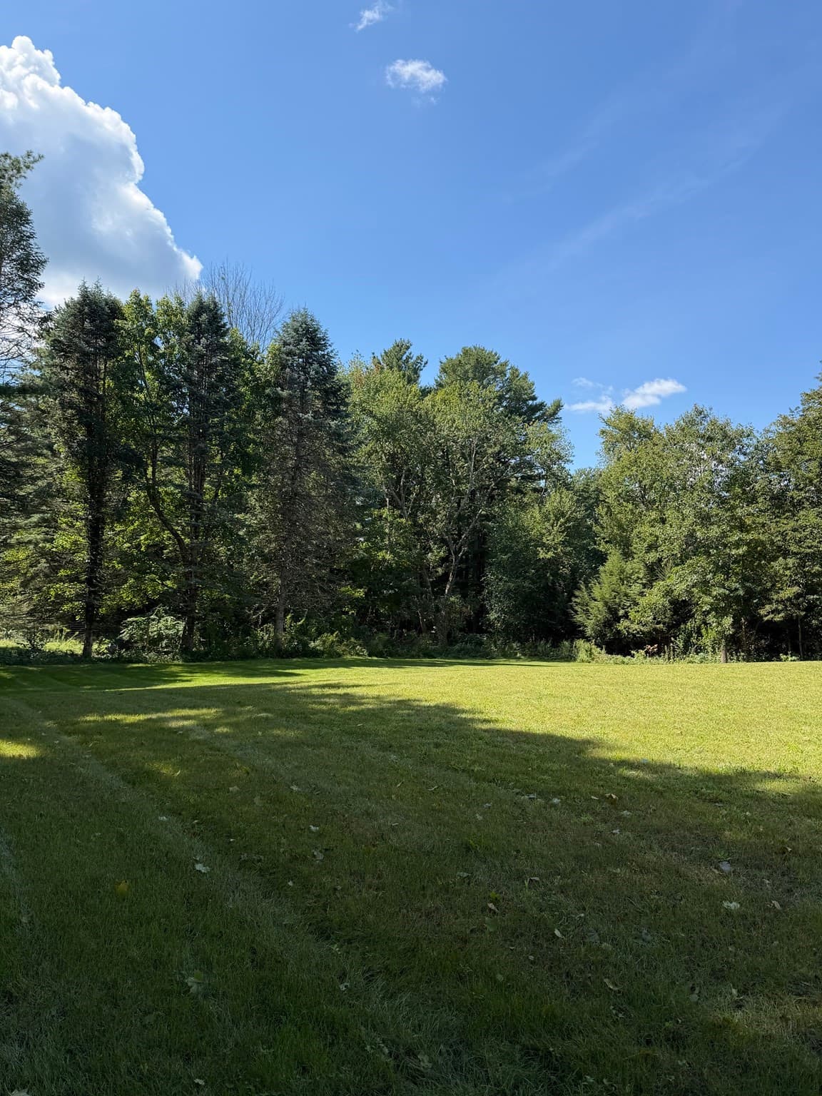 Single Family Residence at 93 Walpole Street, Dover MA 02030, Dover, photo 19 of 25