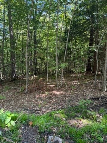 Residential at 0 Laurel Lake Rd, Royalston MA 01368, photo 5 of 9