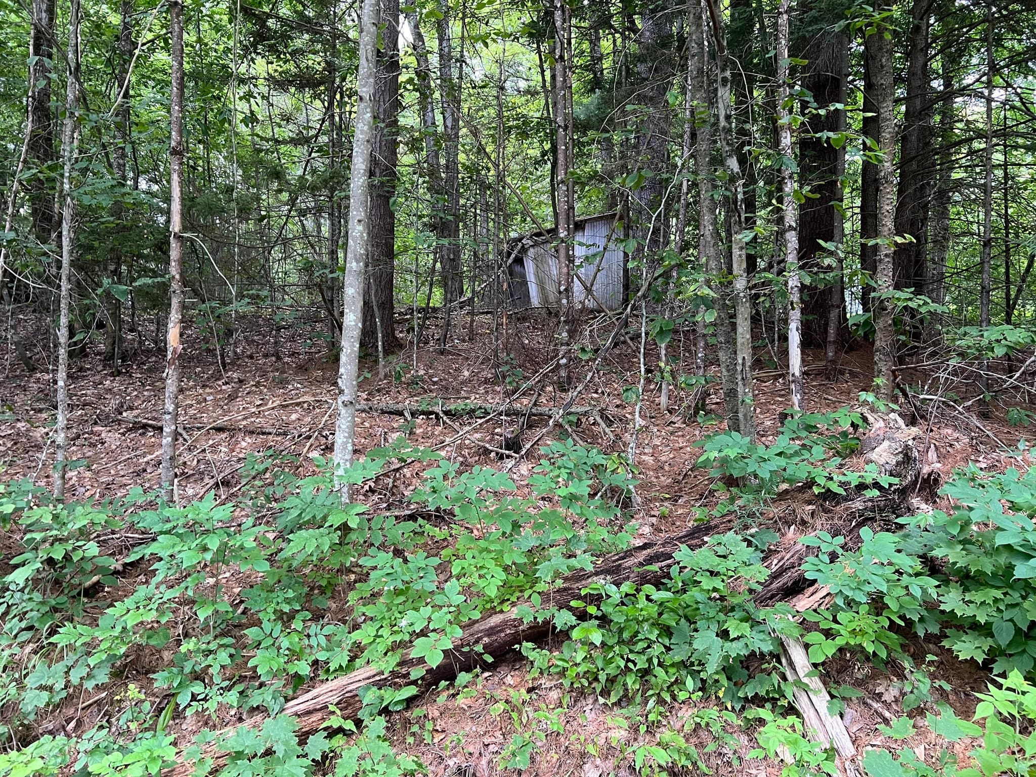 Residential at Lot 134 Shaw Rd, Windsor MA 01270, Windsor, photo 6 of 19