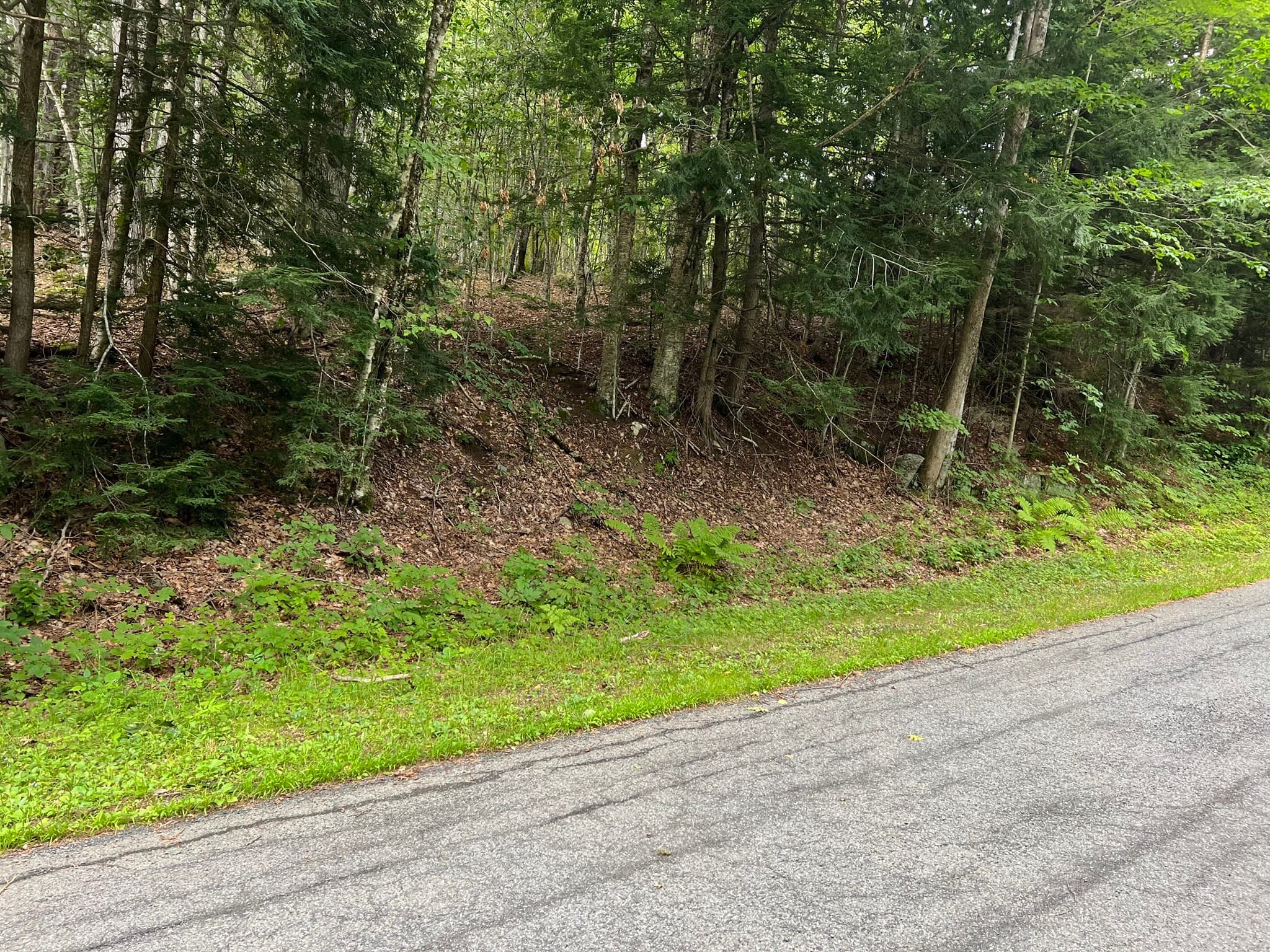 Residential at Lot 134 Shaw Rd, Windsor MA 01270, Windsor, photo 7 of 19