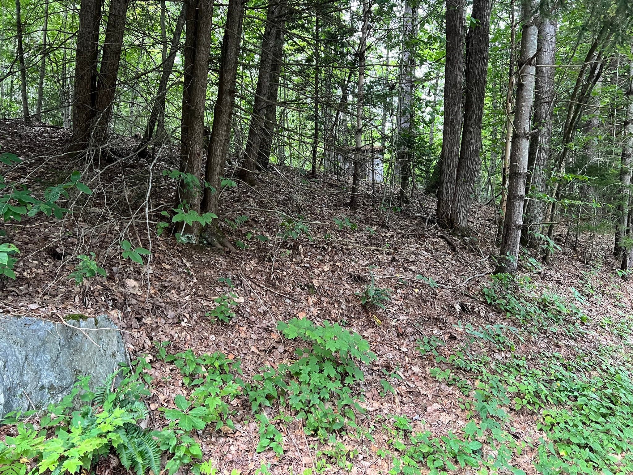 Residential at Lot 134 Shaw Rd, Windsor MA 01270, Windsor, photo 5 of 19