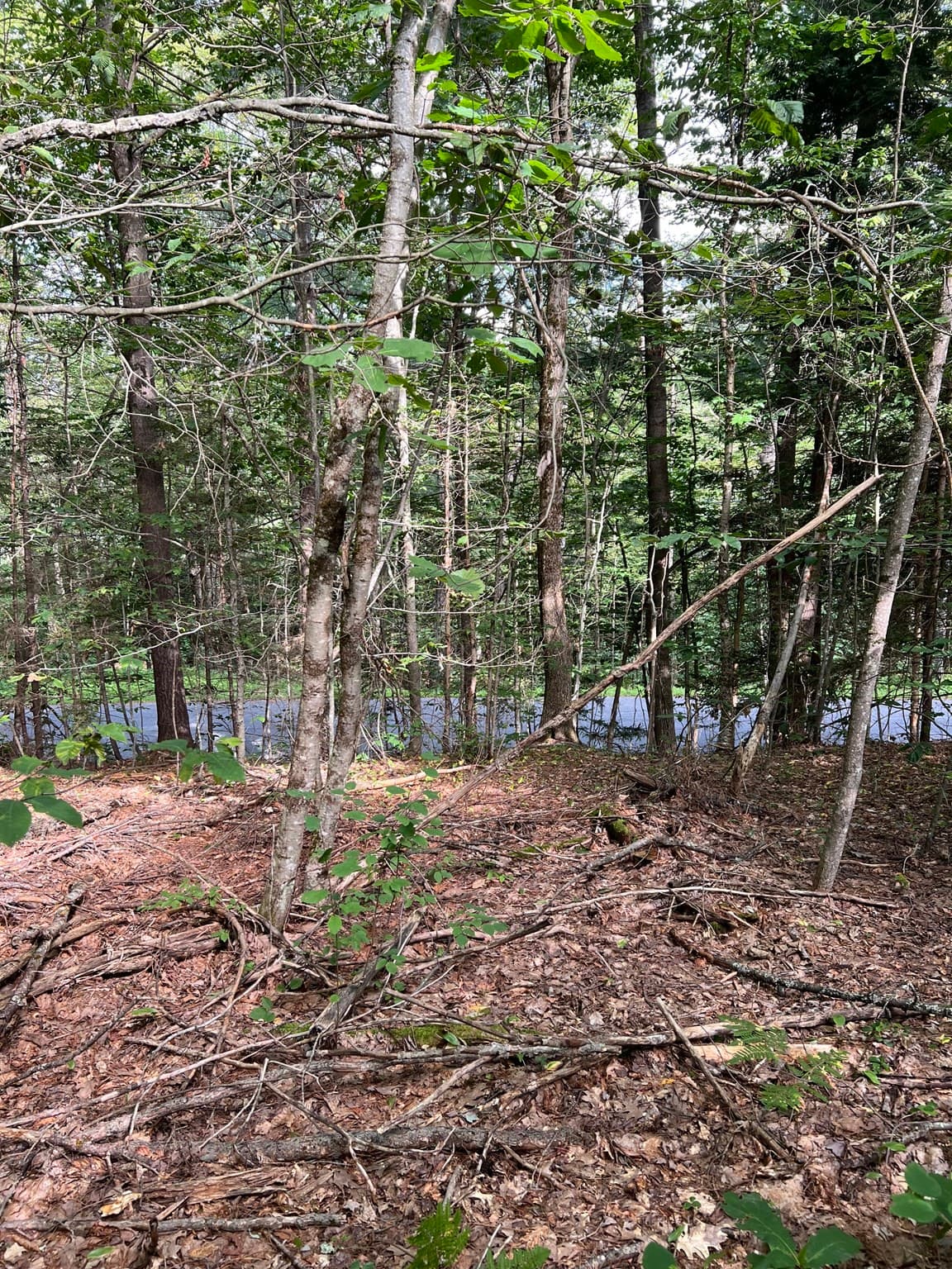 Residential at Lot 134 Shaw Rd, Windsor MA 01270, Windsor, photo 18 of 19