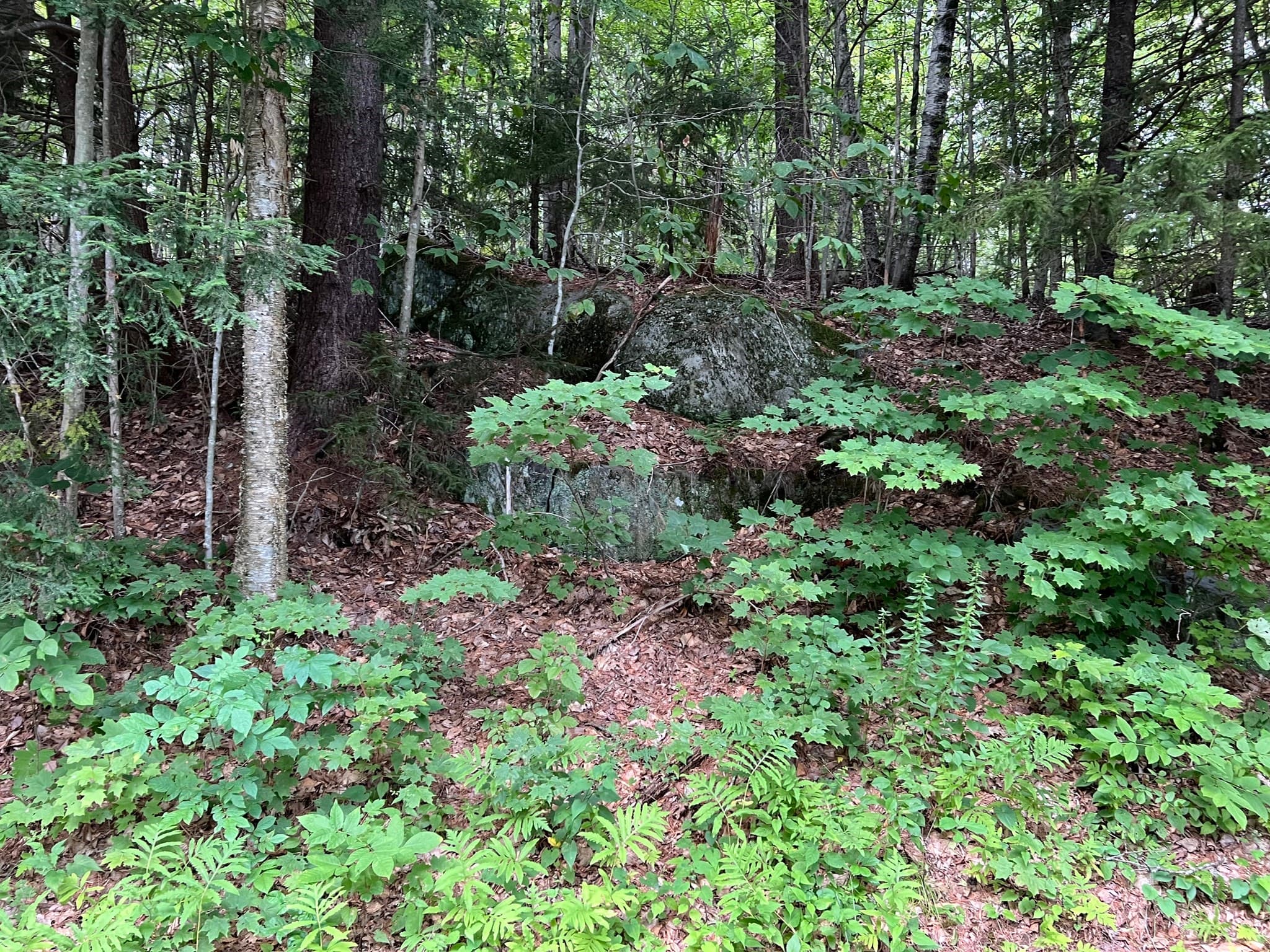 Residential at Lot 134 Shaw Rd, Windsor MA 01270, Windsor, photo 4 of 19