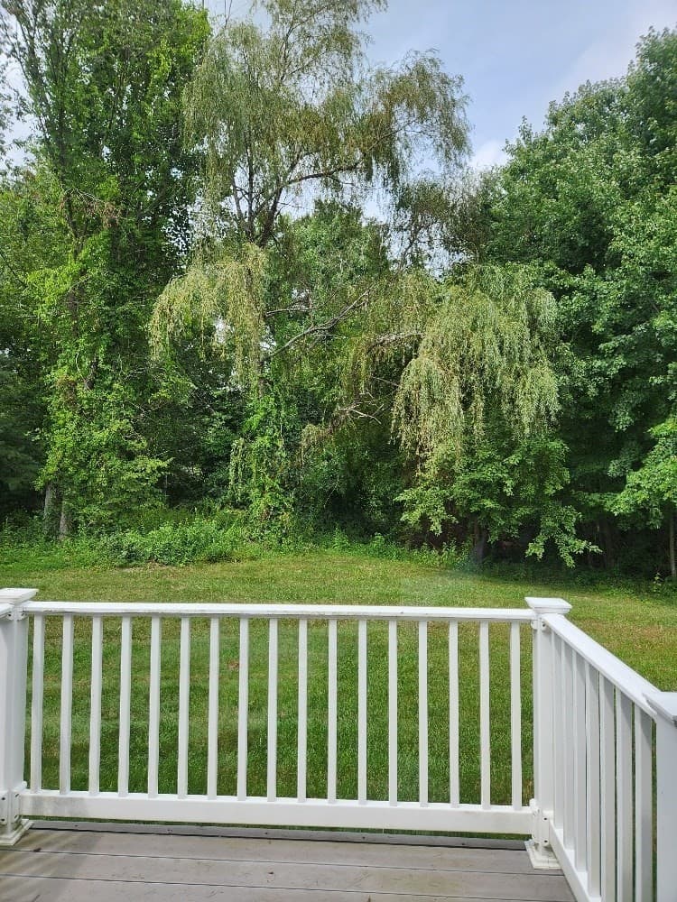Condominium at 491 Mammoth Rd # 9, Londonderry NH 03053, Londonderry, photo 22 of 22