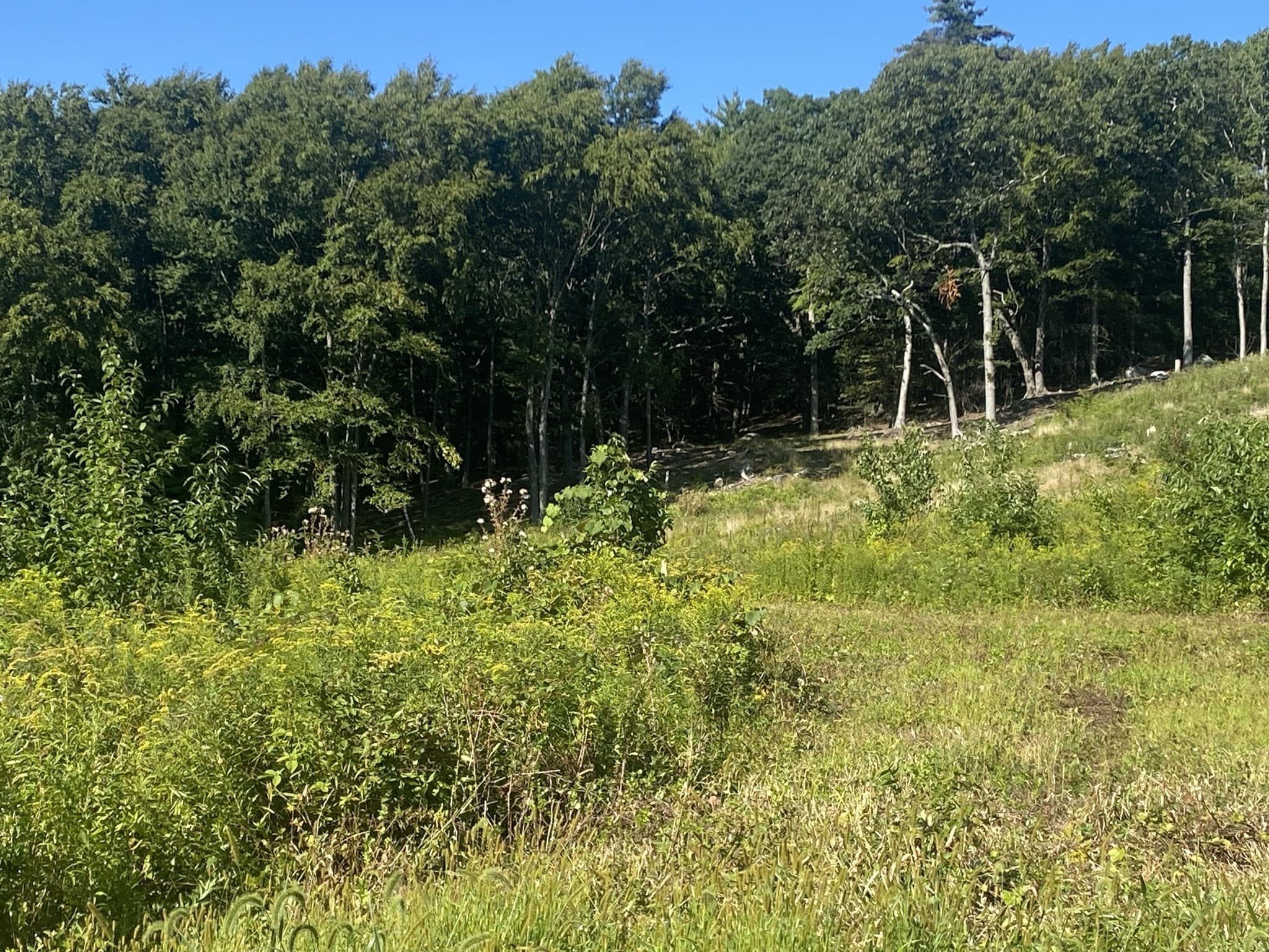 Residential at Lot 8H South Ridge Rd, Hampden MA 01036, photo 7 of 9