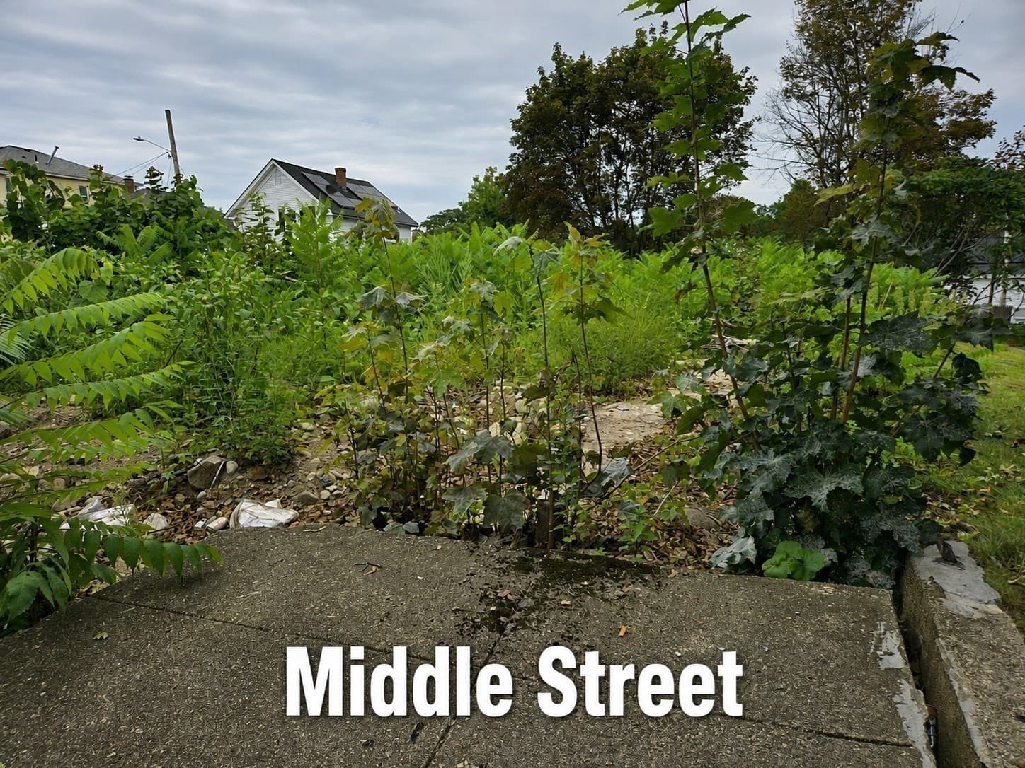 Residential at 68 Middle Street, Fitchburg MA 01420, Fitchburg, photo 3 of 9