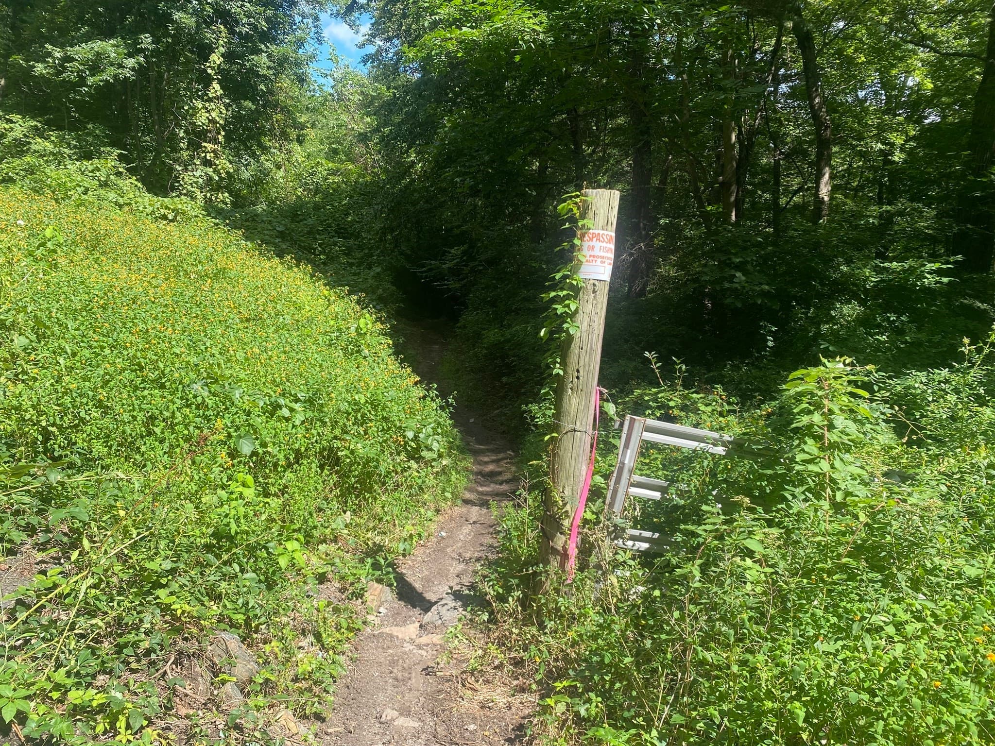 Lot 23 South Rd, Hampden MA 01036