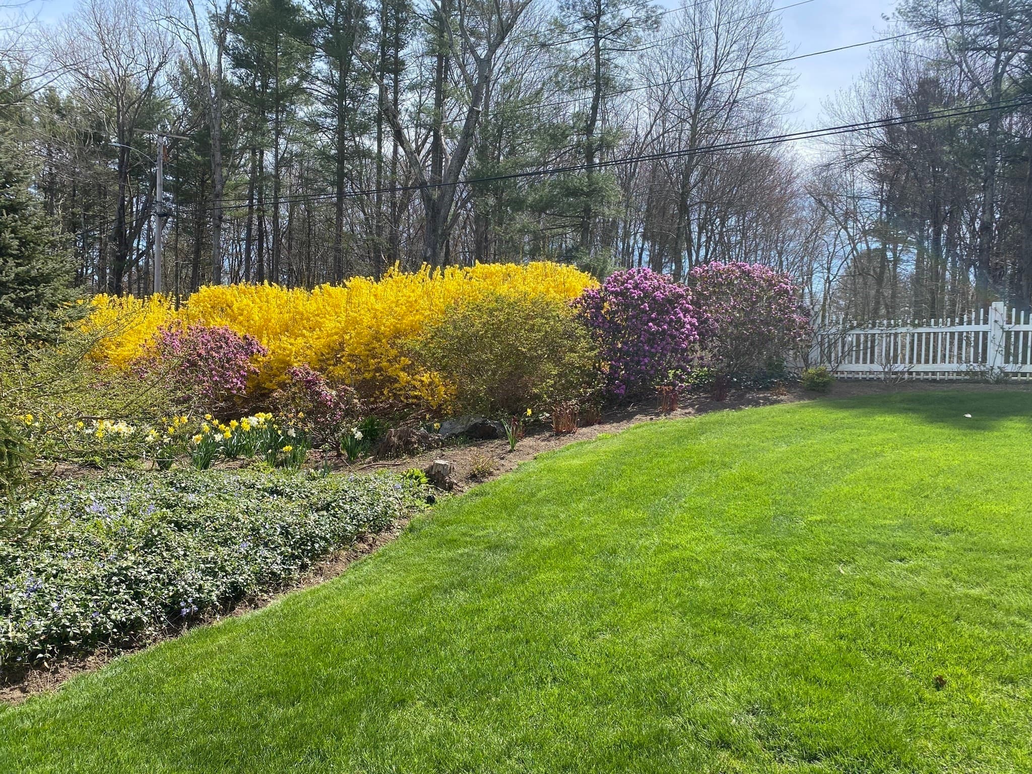 Single Family Residence at 75 Paxton Road, Spencer MA 01562, Spencer, photo 7 of 42