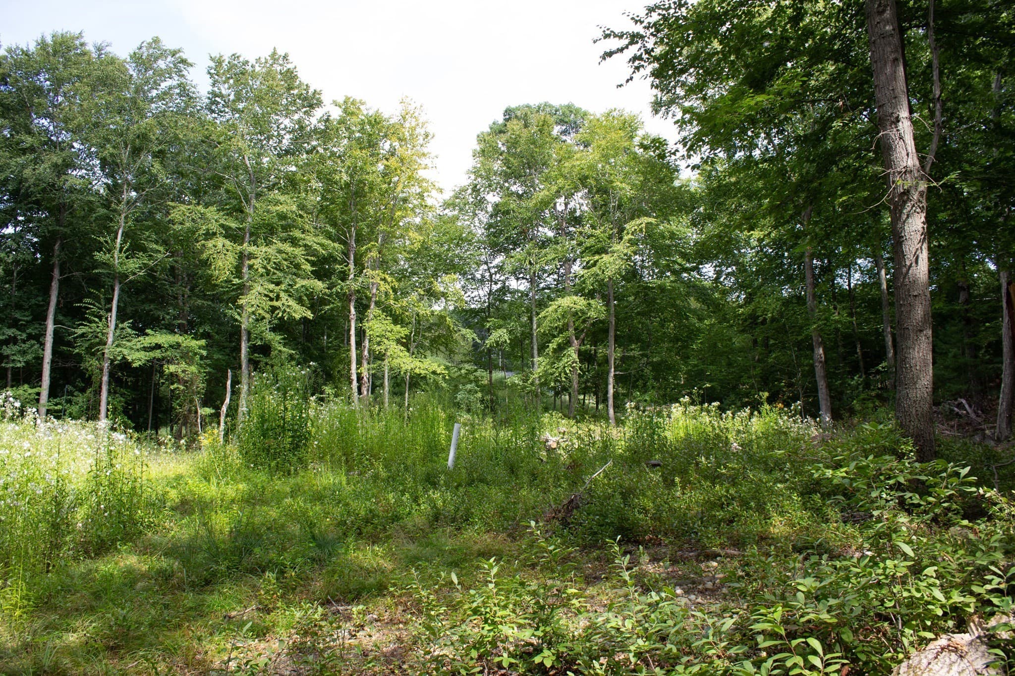 Residential at 184 Bayview Ave, Berkley MA 02779, photo 6 of 9