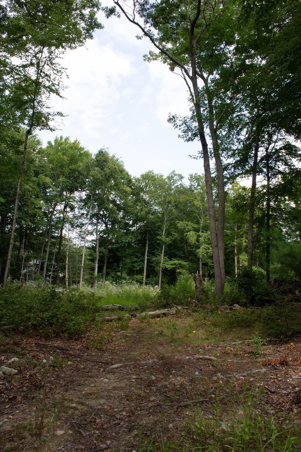 Residential at 184 Bayview Ave, Berkley MA 02779, photo 3 of 9