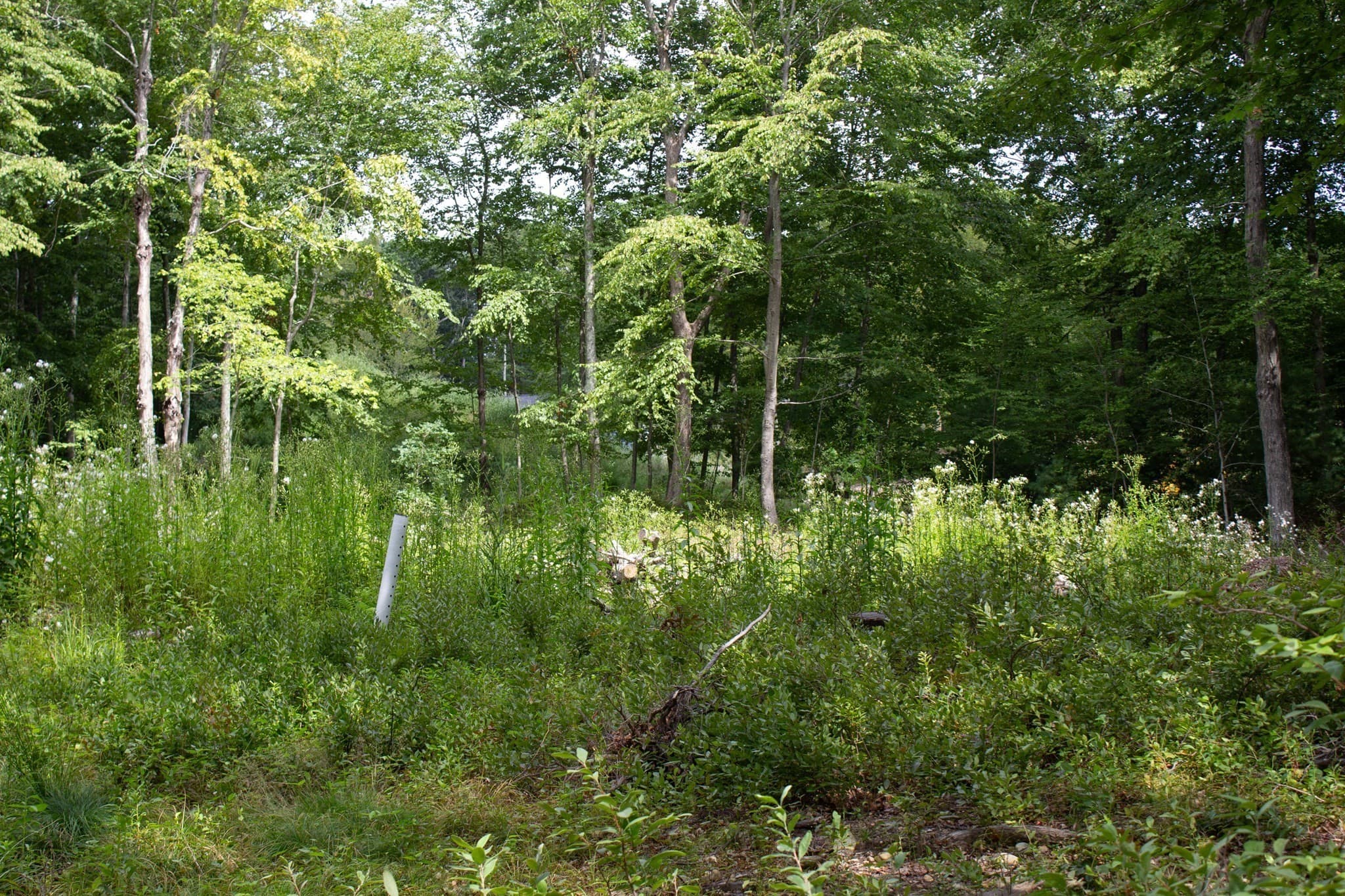 Residential at 184 Bayview Ave, Berkley MA 02779, photo 5 of 9