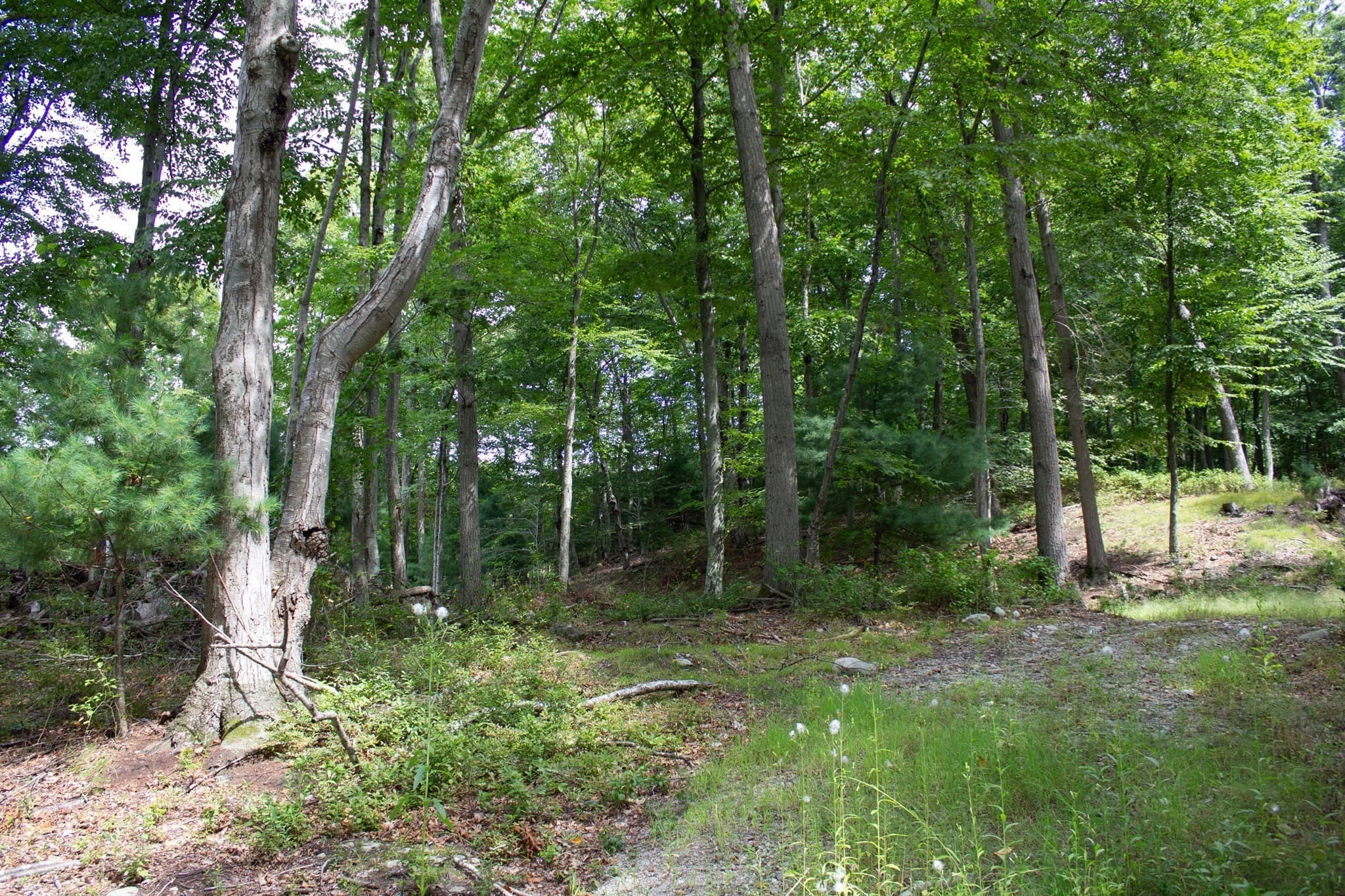 Residential at 184 Bayview Ave, Berkley MA 02779, photo 8 of 9