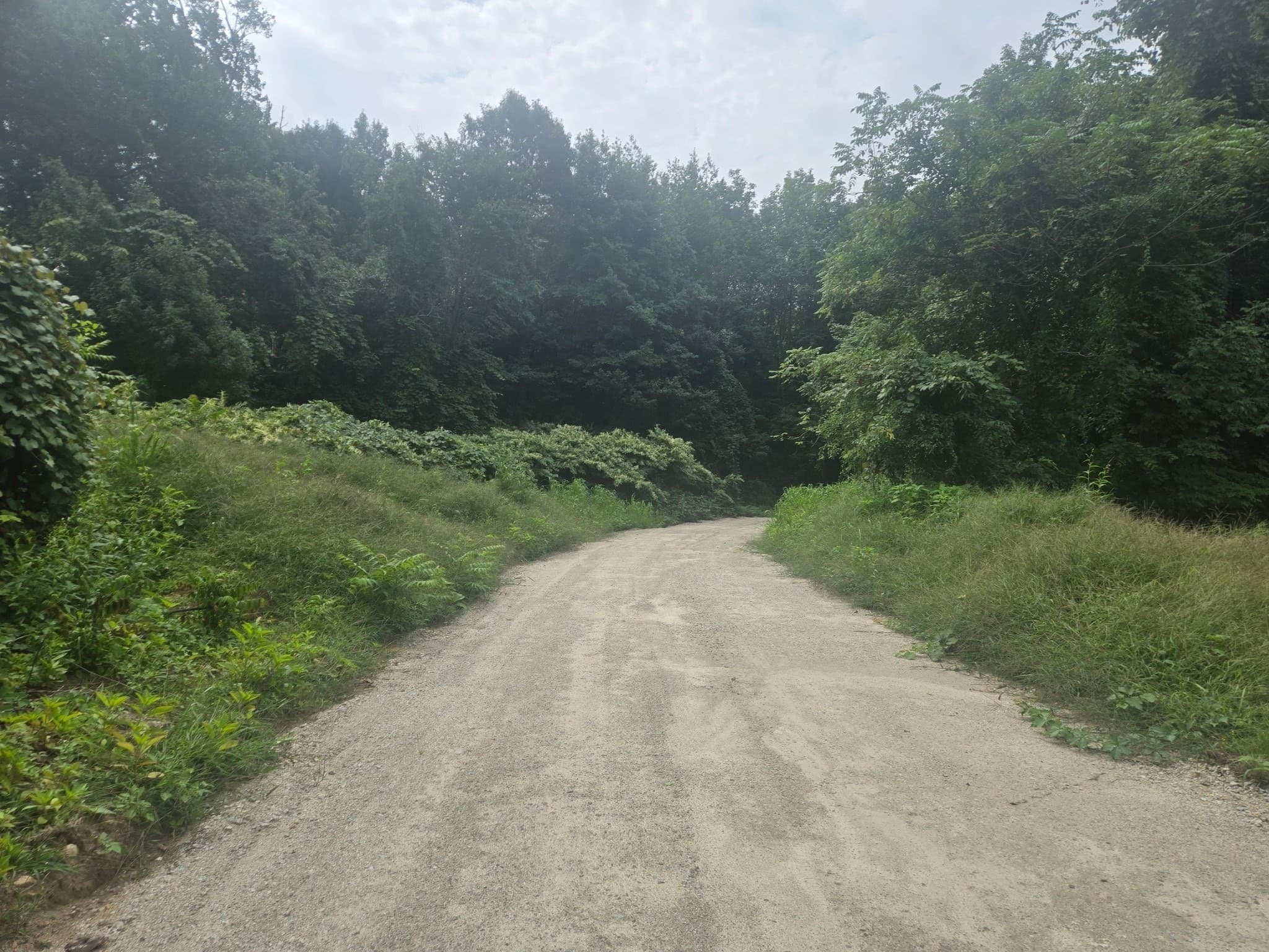 Agriculture at 43 Bates Street (Rear), Mendon MA 01756, photo 3 of 8