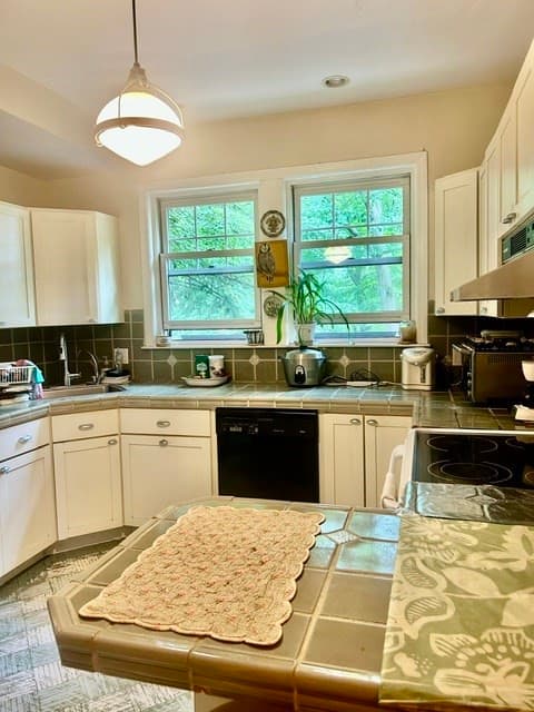 Condominium at 115 Freeman St # 1, Brookline MA 02446, Brookline, photo 6 of 14