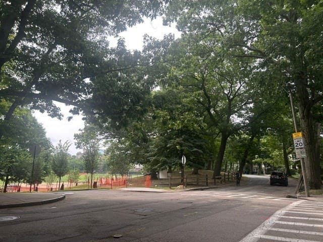 Condominium at 115 Freeman St # 1, Brookline MA 02446, Brookline, photo 13 of 14