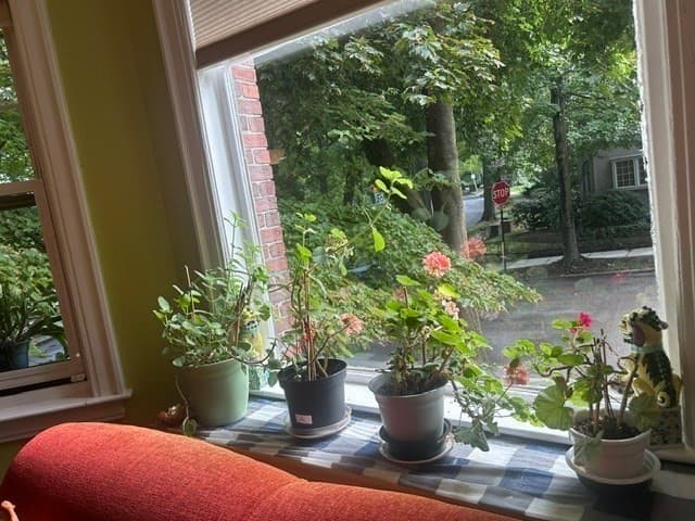 Condominium at 115 Freeman St # 1, Brookline MA 02446, Brookline, photo 10 of 14