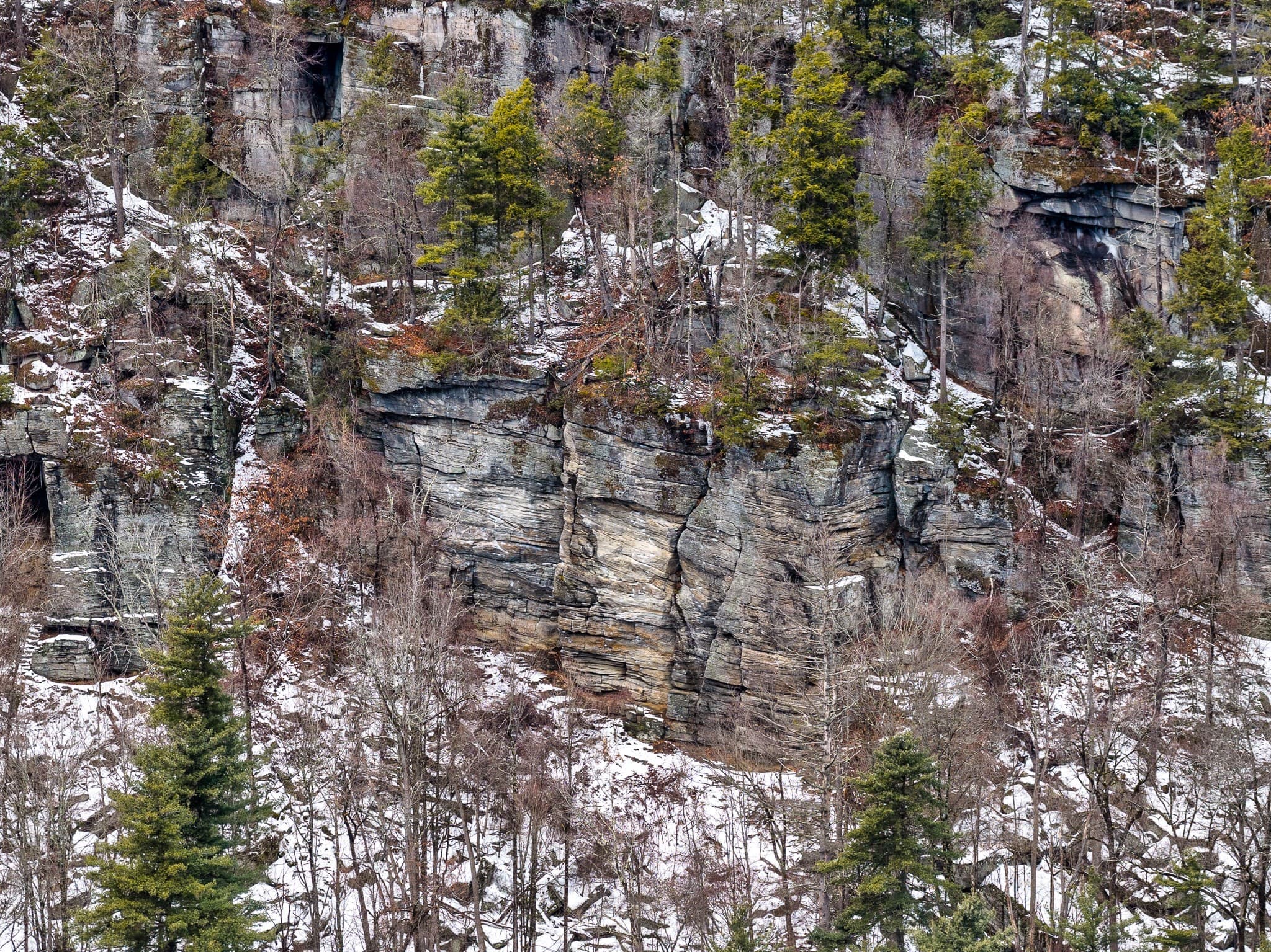 Non-Buildable at 0 State Rd Lot 0, Erving MA 01344, photo 4 of 4