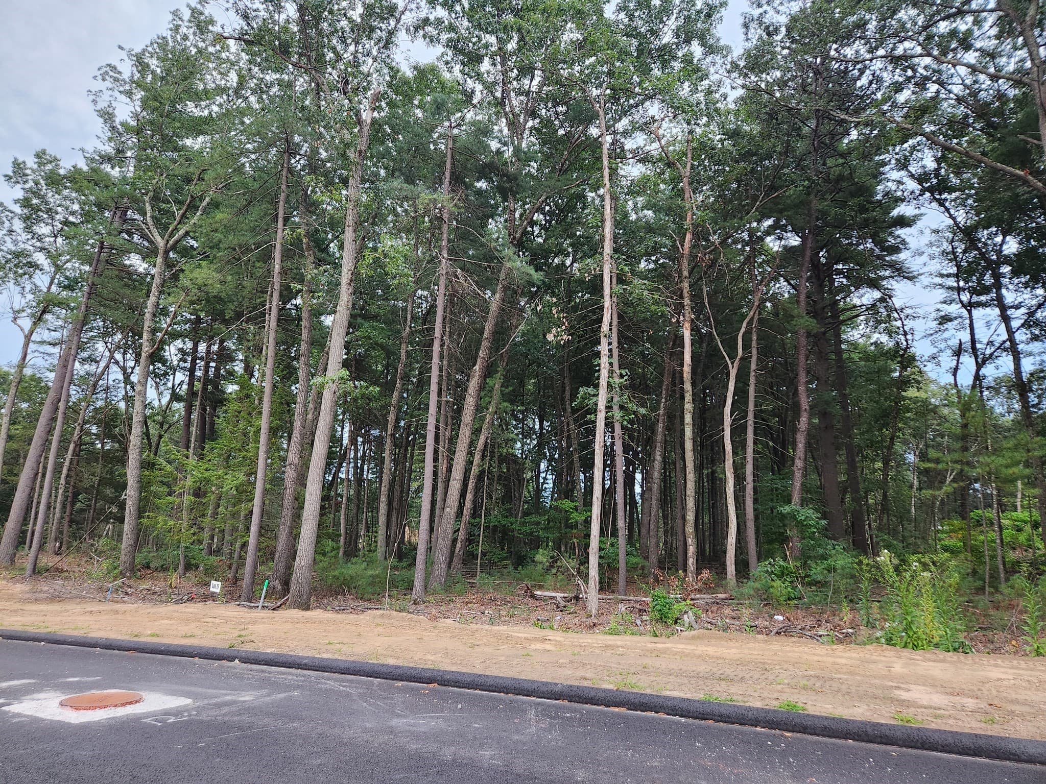 Residential at Lot 17 Nathaniel Hill, Westfield MA 01085, Westfield, photo 3 of 3