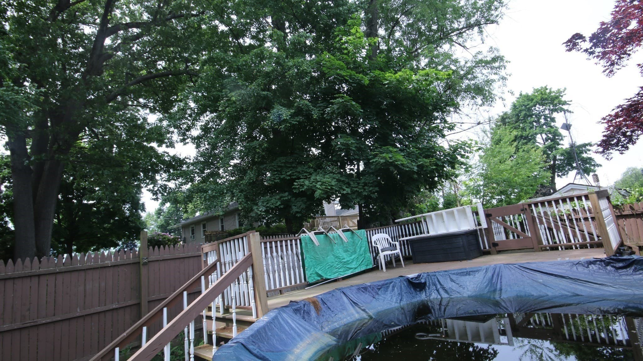 Single Family Residence at 61 Austin St, Chicopee MA 01013, photo 19 of 22