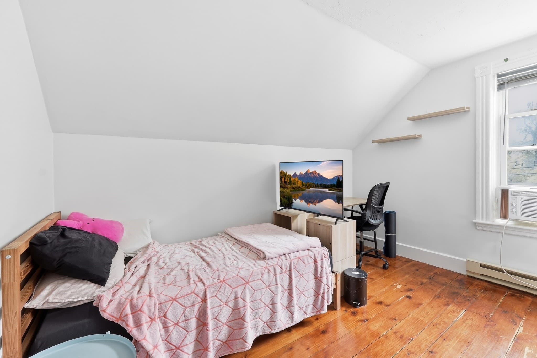 Single Family Residence at 96 Apricot St, Worcester MA 01603, Worcester, photo 23 of 39
