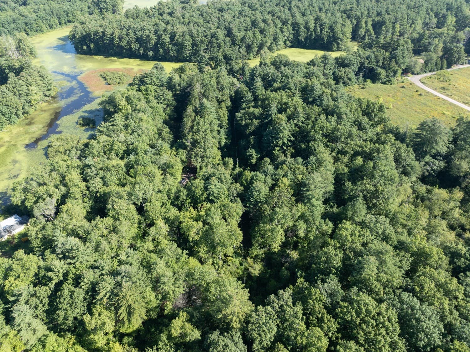 0 Forge Pond Rd, Granby MA 01033