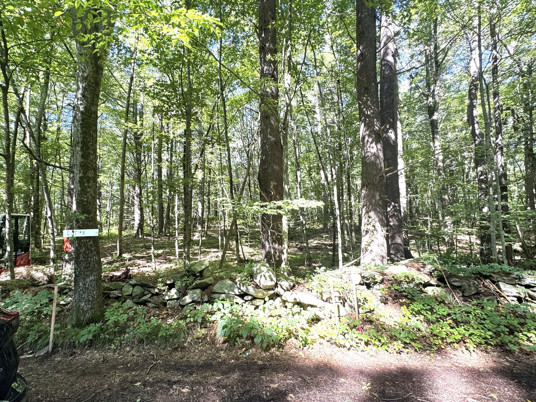 Agriculture at Lot 2 Daniels Road, Charlton MA 01507, Charlton, photo 5 of 5