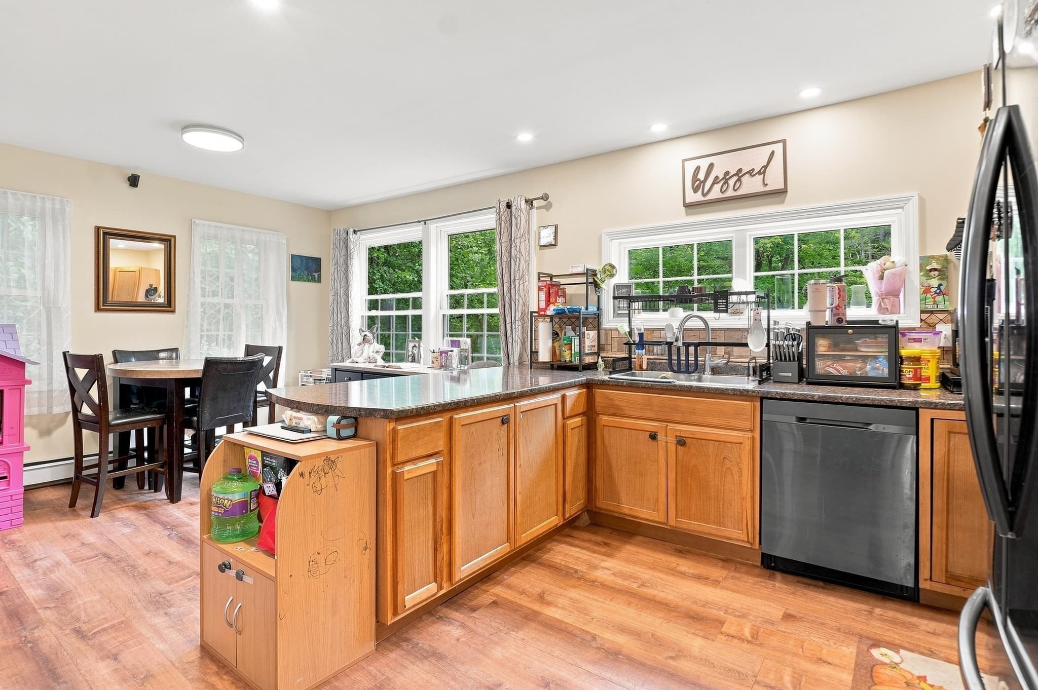 Single Family Residence at 111 Pinedale Avenue, Athol MA 01331, Athol, photo 9 of 28