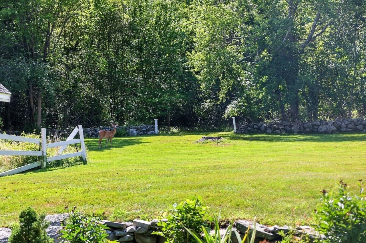 Single Family Residence at 378 River Street, Norwell MA 02061, Norwell, photo 34 of 42