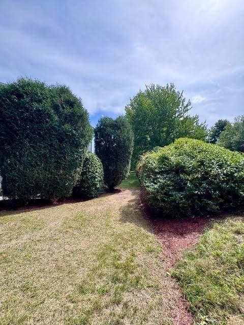 Condominium at 13 Waltham Dr # 13, Plainville MA 02762, Plainville, photo 32 of 36